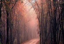 崔康熙强调认真打比赛 王童希望获胜重拾信心