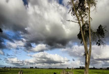 山东与邱彪签订长期合同 四年内四次更换主教练