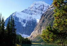 罗马诺:劳埃德·凯利于七月初以自由球员身份加盟纽卡斯尔联队