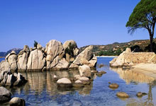 罗马诺:劳埃德·凯利于七月初以自由球员身份加盟纽卡斯尔联队